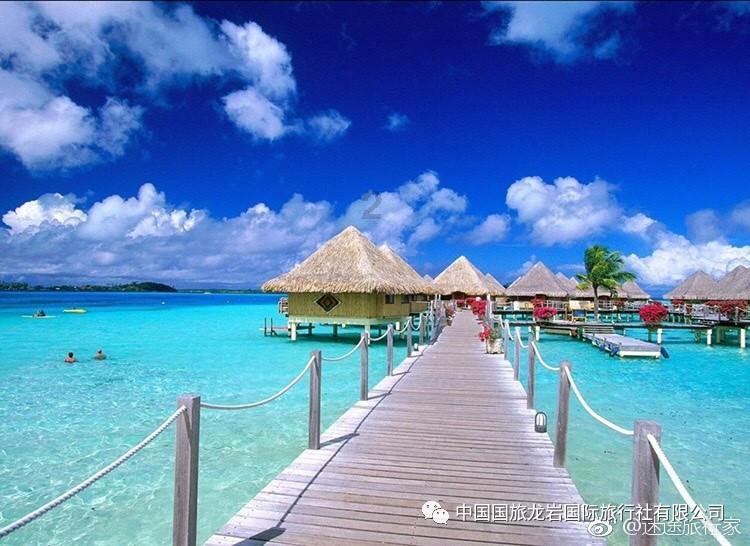 因未按规定使用保险条款等,泰康在线财险被罚款11万元
